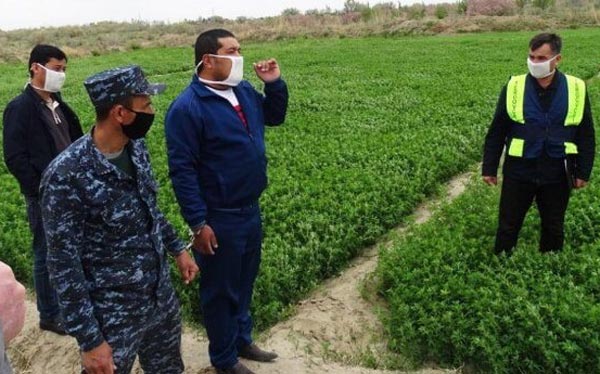 Қўйлари бедазорни пайҳон қилгани учун калтакланган ўқитувчи касалхонада жон берди