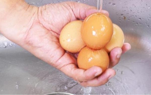 ТУХУМЛАРНИ ДОИМО ЮВИБ, КЕЙИН ИШЛАТИНГ!