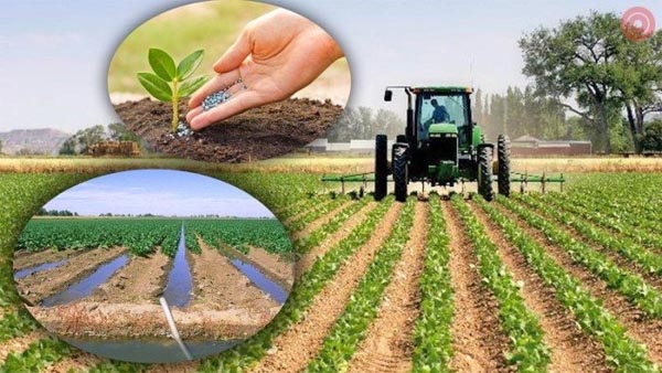 Қишлоқ хўжалиги экинлари уруғликларининг сифатини баҳолаш тизими тубдан ислоҳ қилинади